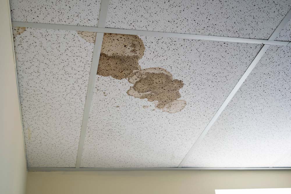 Water Leak On The Ceiling